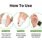 Detox Foot Patches (Pack of 2) 20 Pices