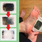 Detox Foot Patches (Pack of 2) 20 Pices